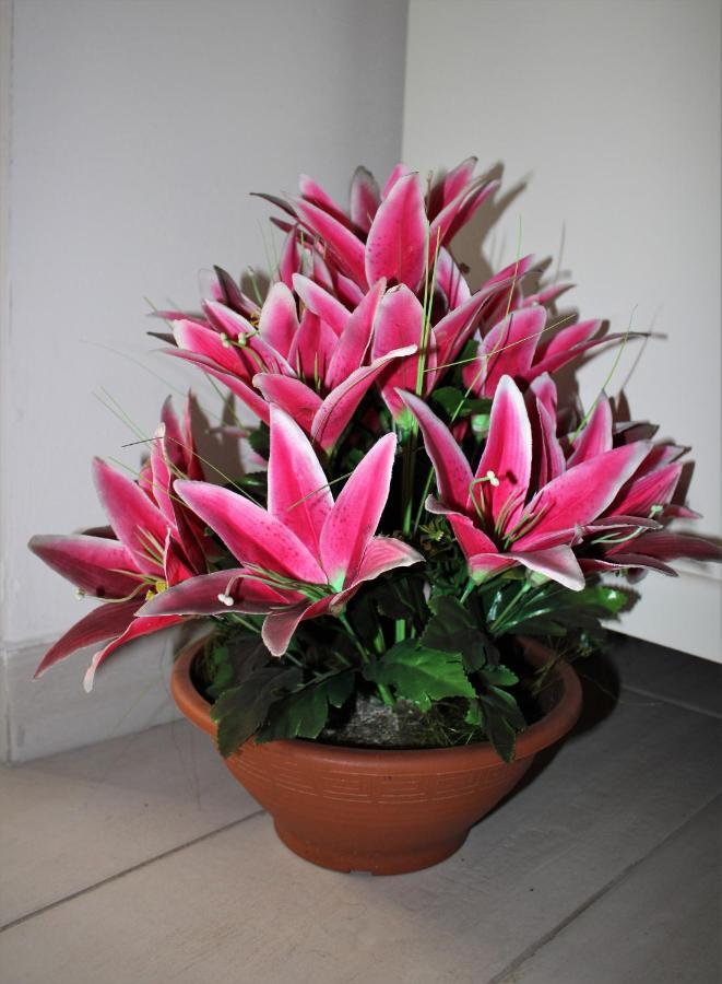 B E B La Fontana Del Carmine Appartement Lucera Buitenkant foto